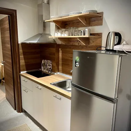 Villa Maria Apartments Nea Skioni Dış mekan fotoğraf