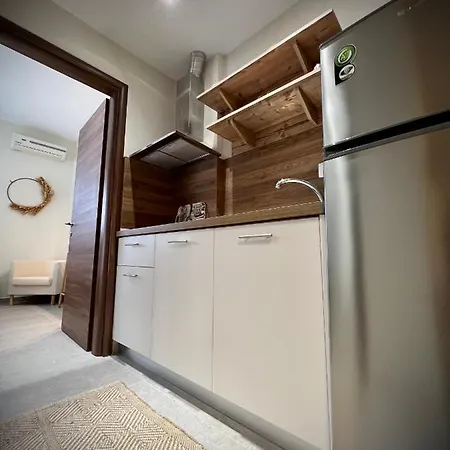 Villa Maria Apartments Nea Skioni Dış mekan fotoğraf