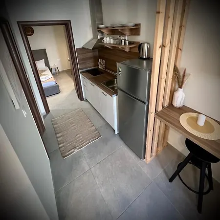Villa Maria Apartments Nea Skioni Dış mekan fotoğraf