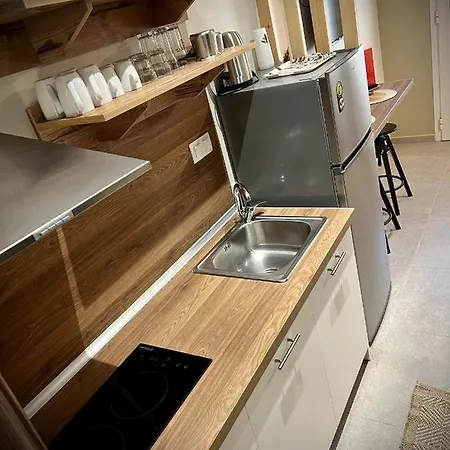 Villa Maria Apartments Nea Skioni Dış mekan fotoğraf