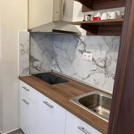 Villa Maria Apartments Nea Skioni Dış mekan fotoğraf